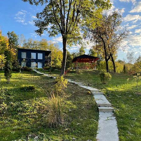 Casa De Pe Un Deal-Provita De Sus-Prahova Zewnętrze zdjęcie