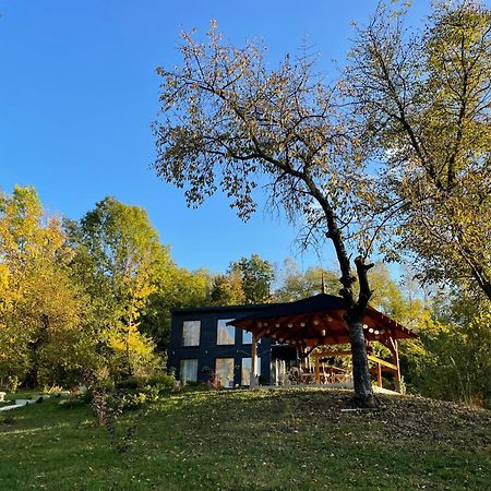 Casa De Pe Un Deal-Provita De Sus-Prahova Zewnętrze zdjęcie