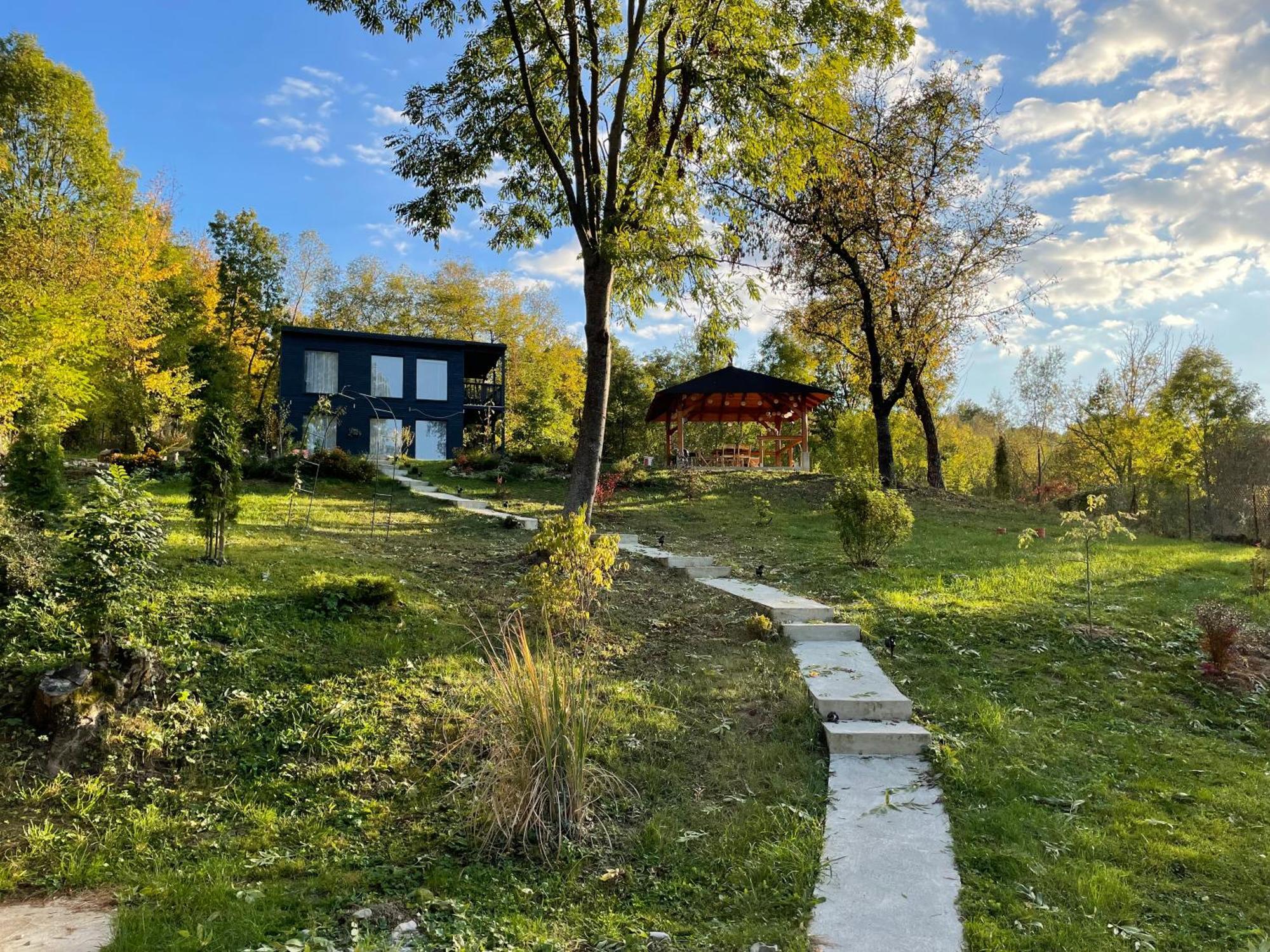 Casa De Pe Un Deal-Provita De Sus-Prahova Zewnętrze zdjęcie